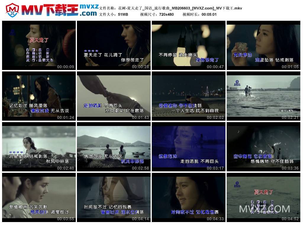 花树-夏天走了_国语_流行歌曲_MB206603